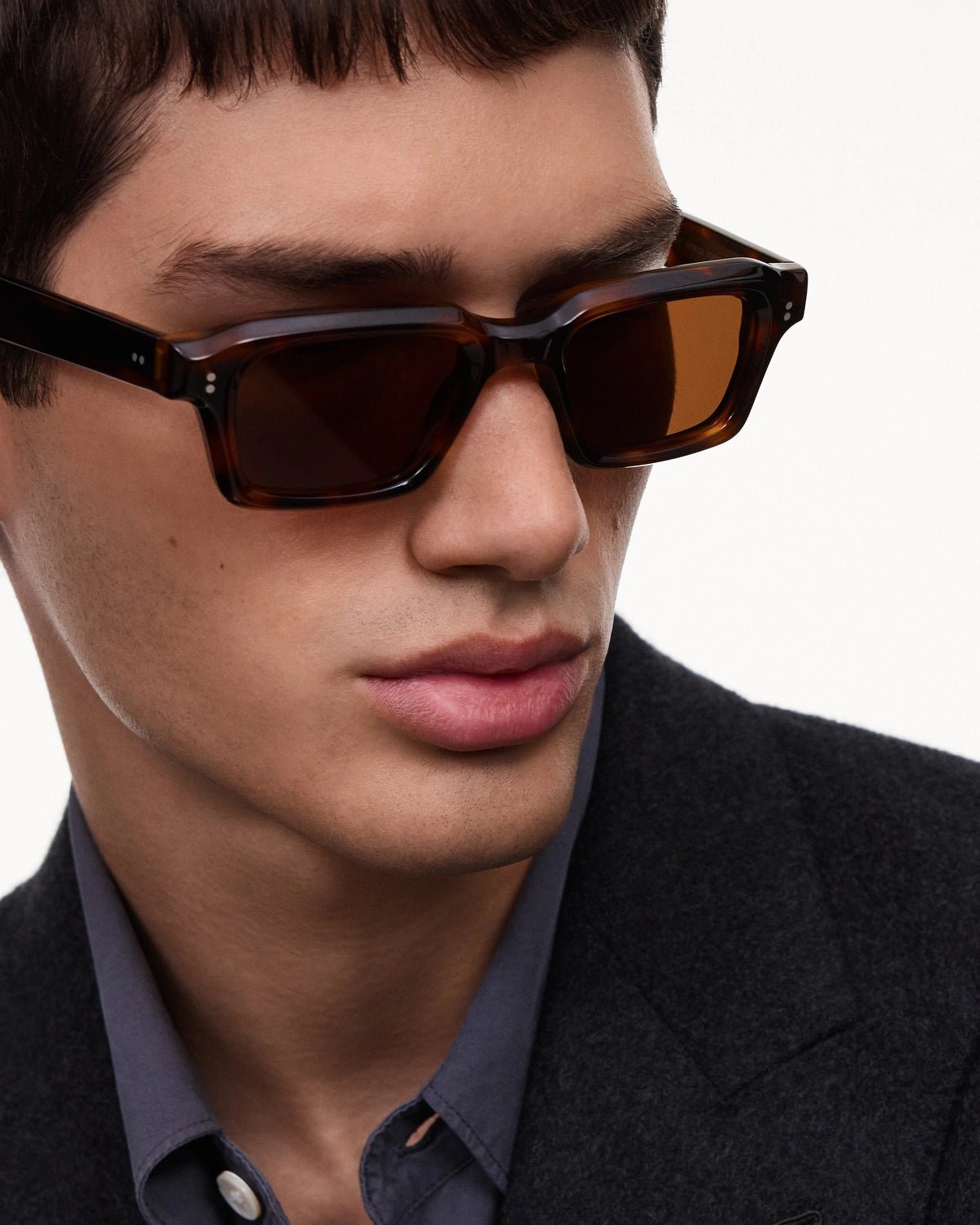 03 Core / Tortoise & Brown Lens - Shade Files