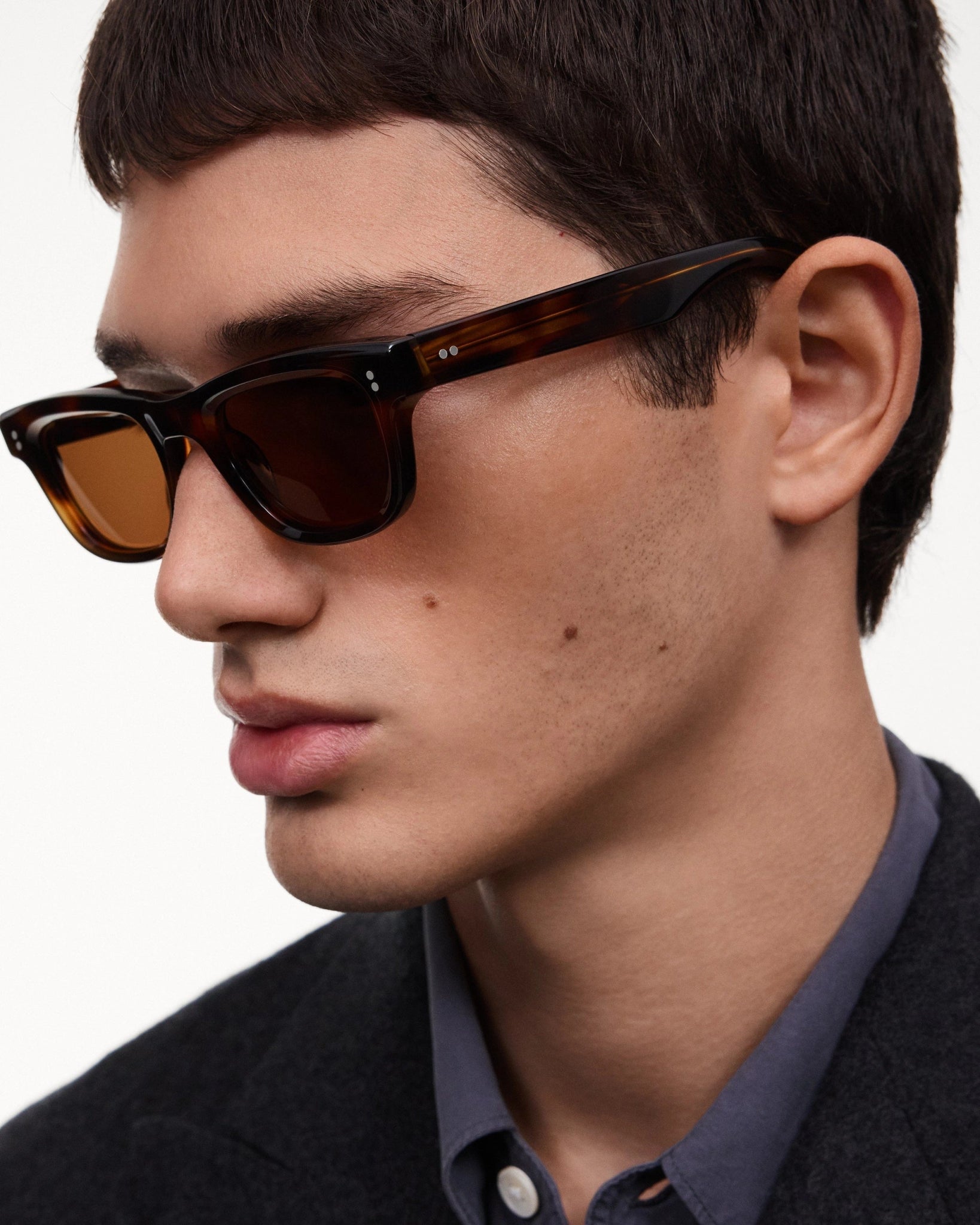 08 Core / Tortoise & Brown Lens - Shade Files