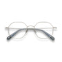Carol Optical / Silver Metal & Prescription Lens