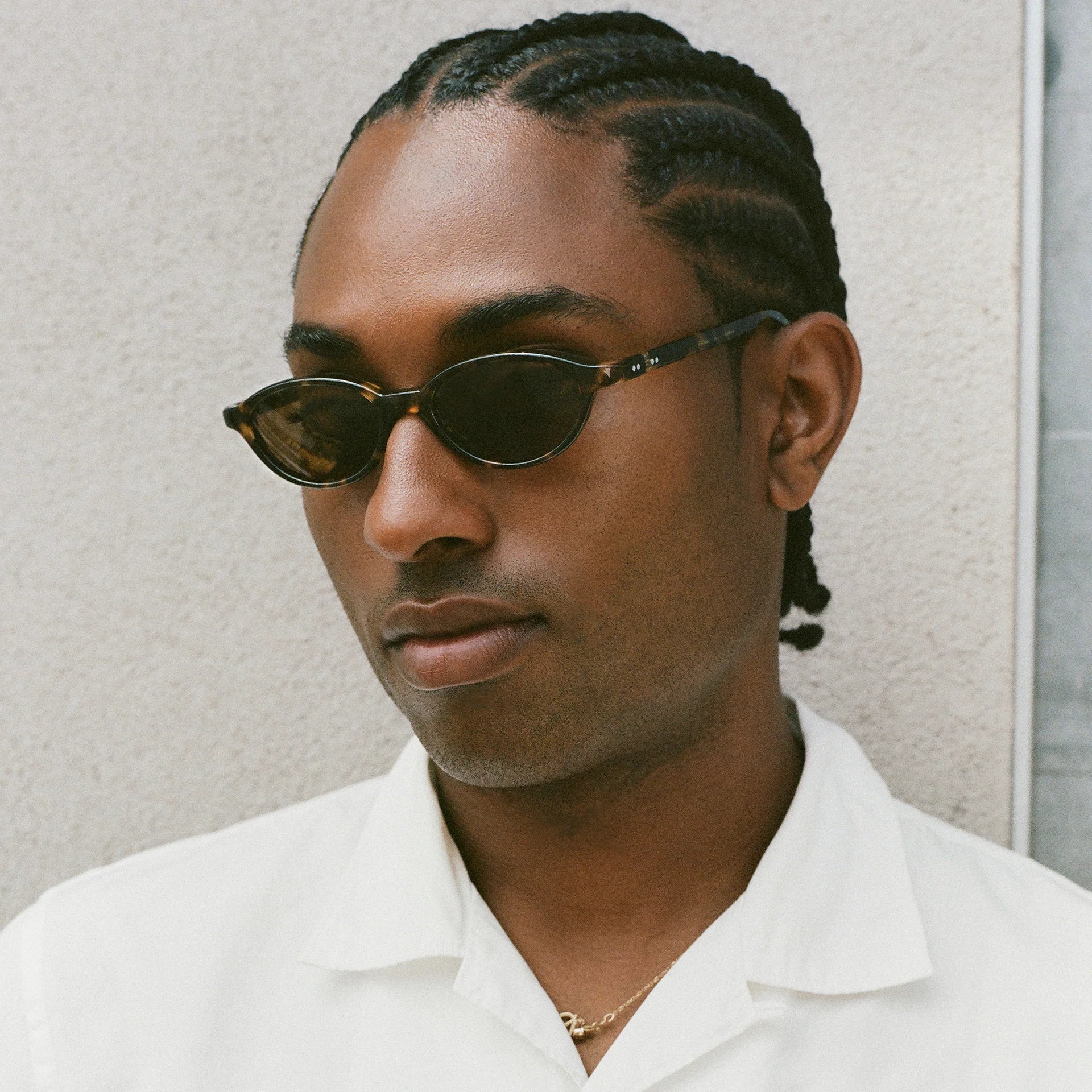 Alien / Tortoise Acetate & Brown Lens - Shade Files