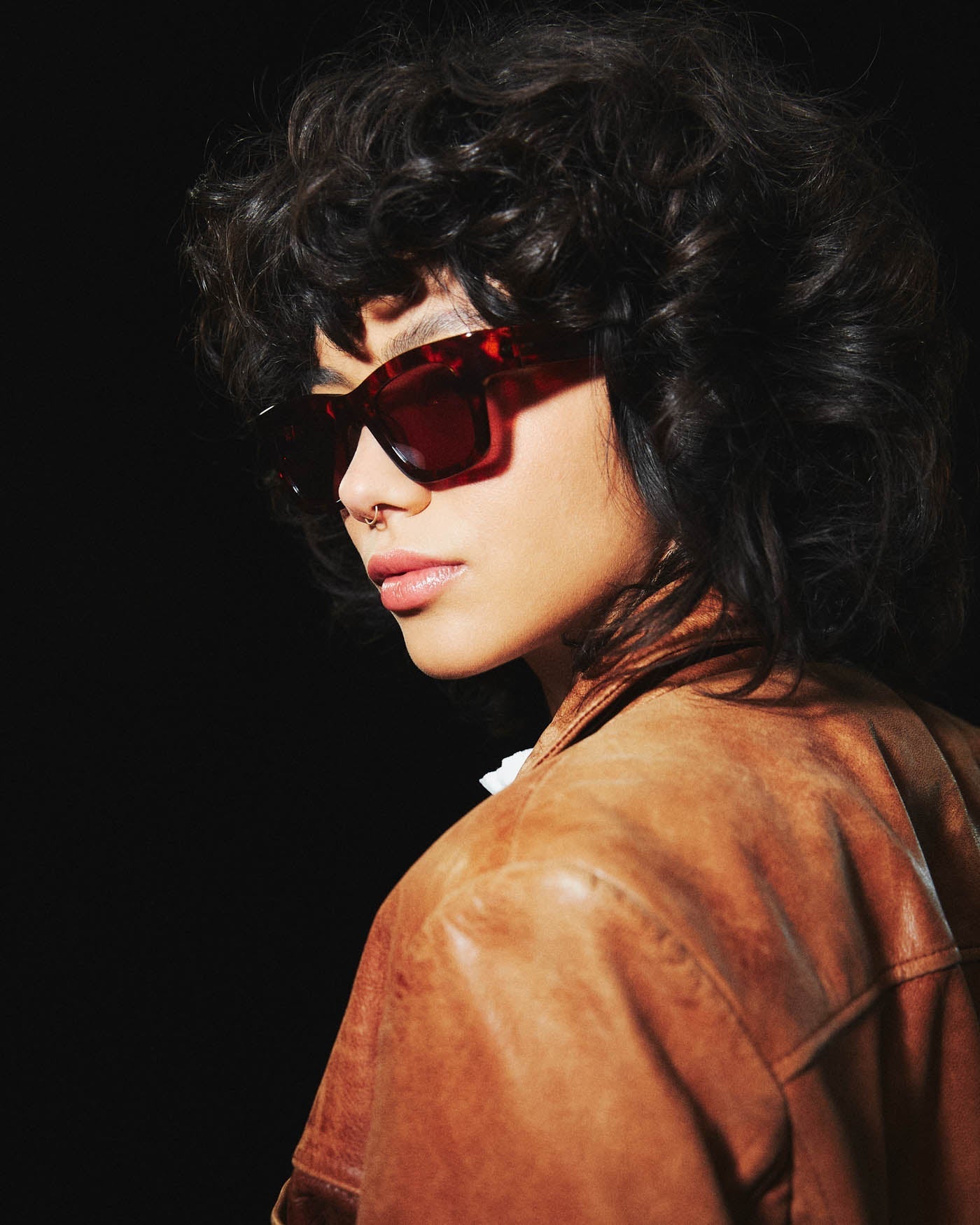 Blackbird x The Beatles / Tortoise Acetate & Brown Lens - Shade Files
