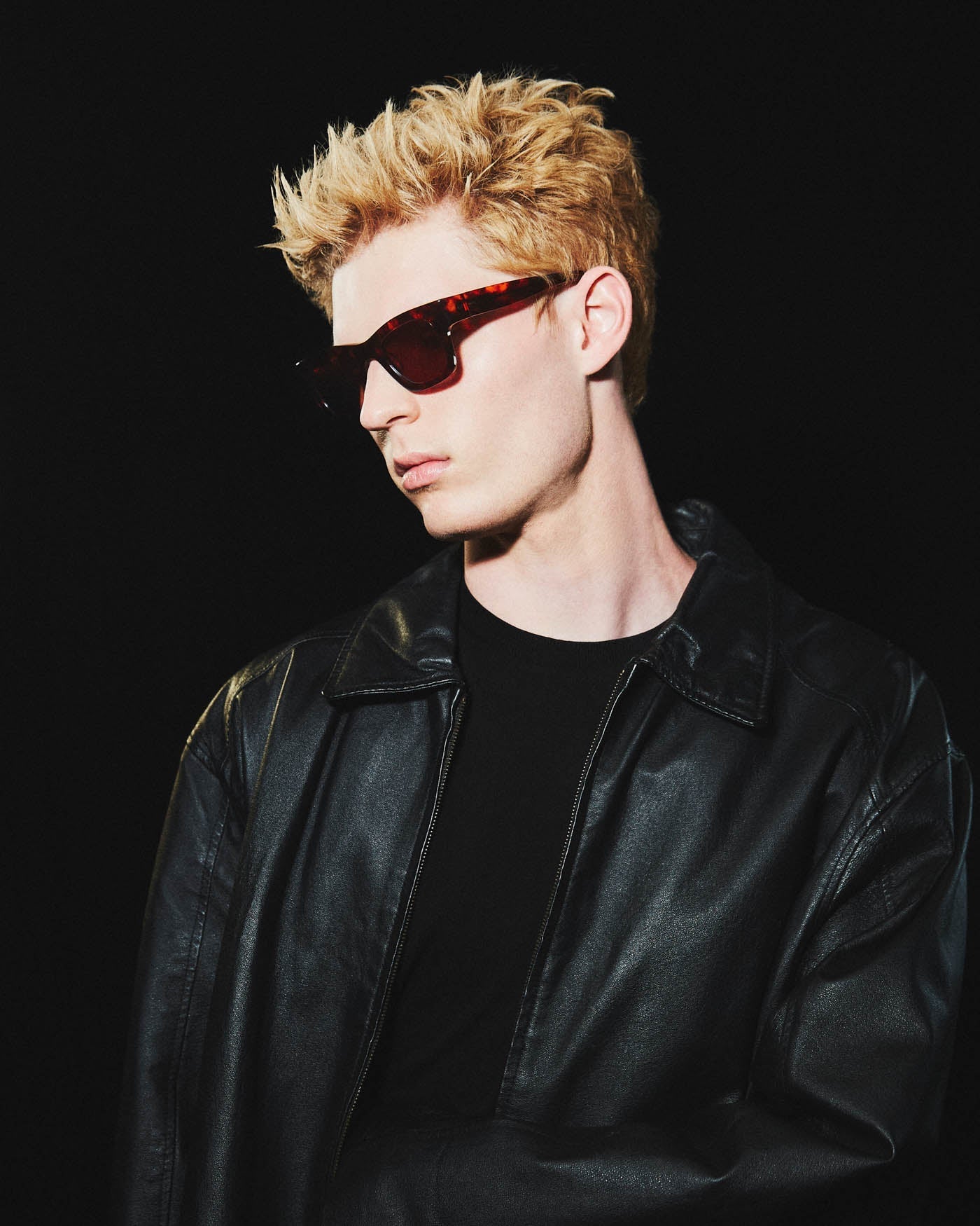 Blackbird x The Beatles / Tortoise Acetate & Brown Lens - Shade Files