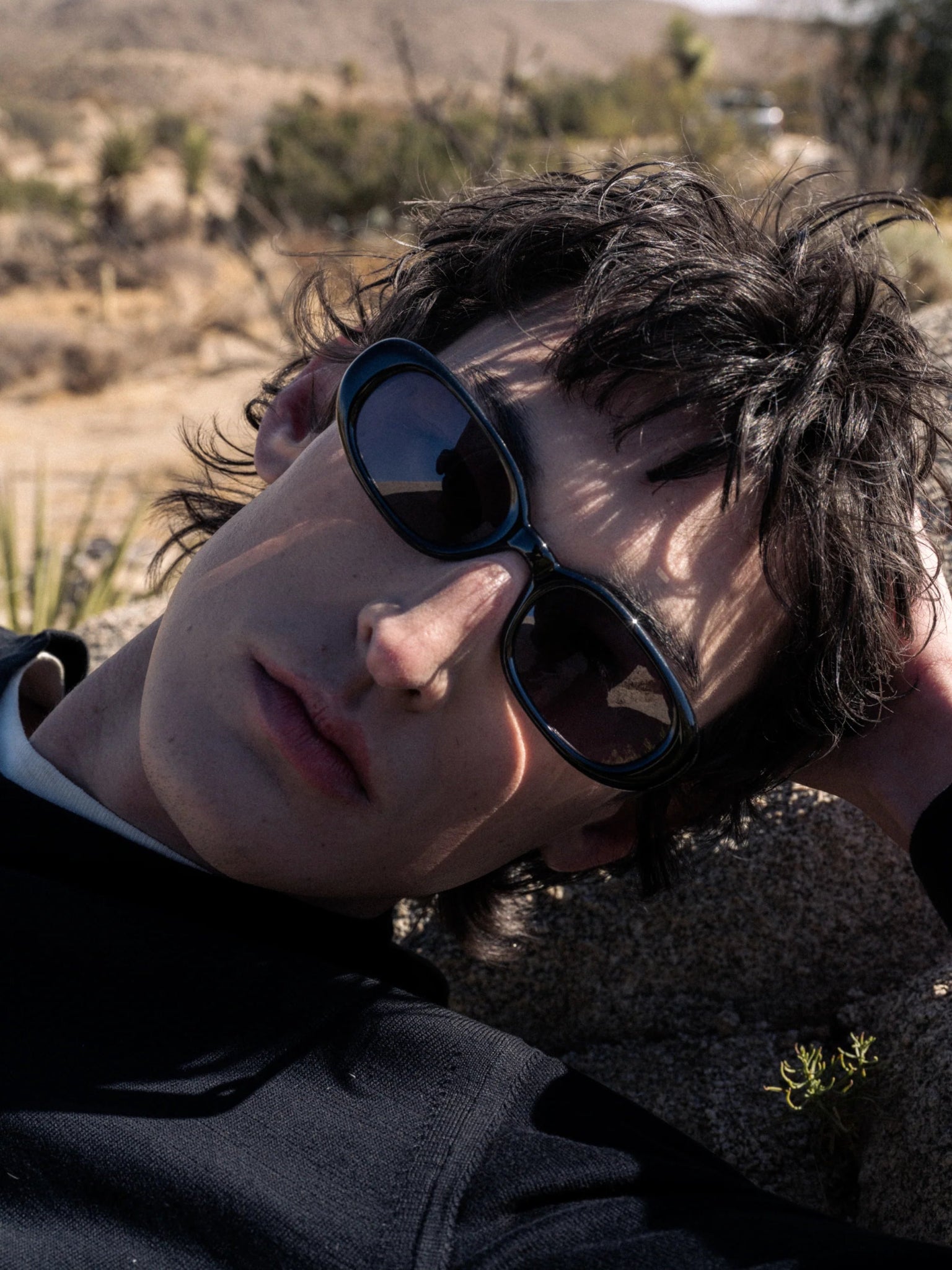 Blossom / Black Acetate & Black Lens - Shade Files