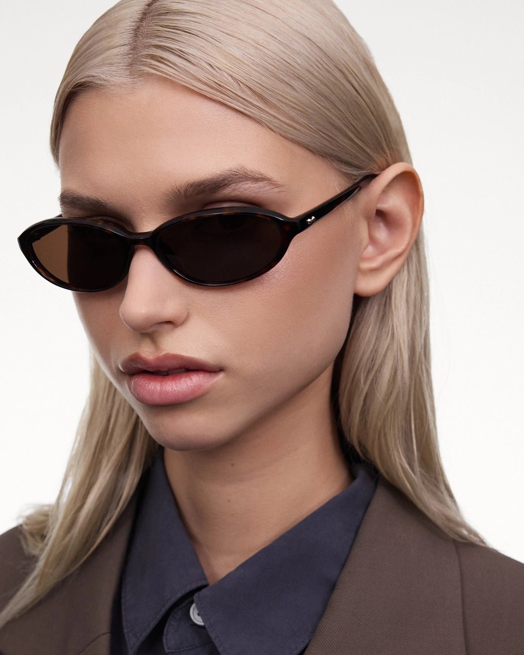 Ellipse / Tortoise & Brown Lens - Shade Files