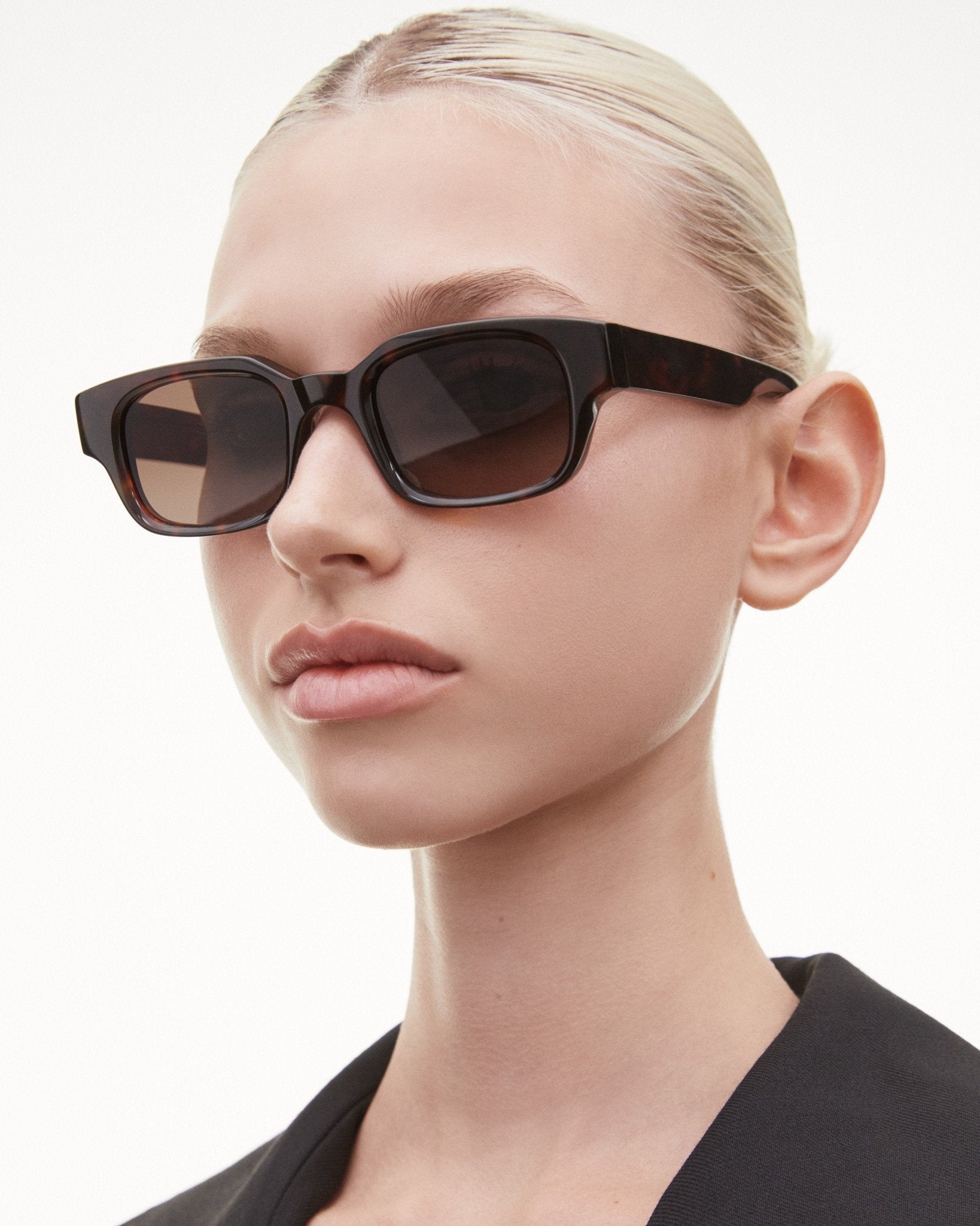 Mühlrad / Tortoise & Brown Gradient Lens - Shade Files