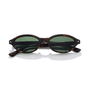 Nolan / Havana Tortoiseshell & Moss Lens - Shade Files