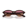 Nolan / Mocha & Before Sunset Lens - Shade Files