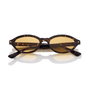 Nolan / Wasp & Caramello Lens - Shade Files