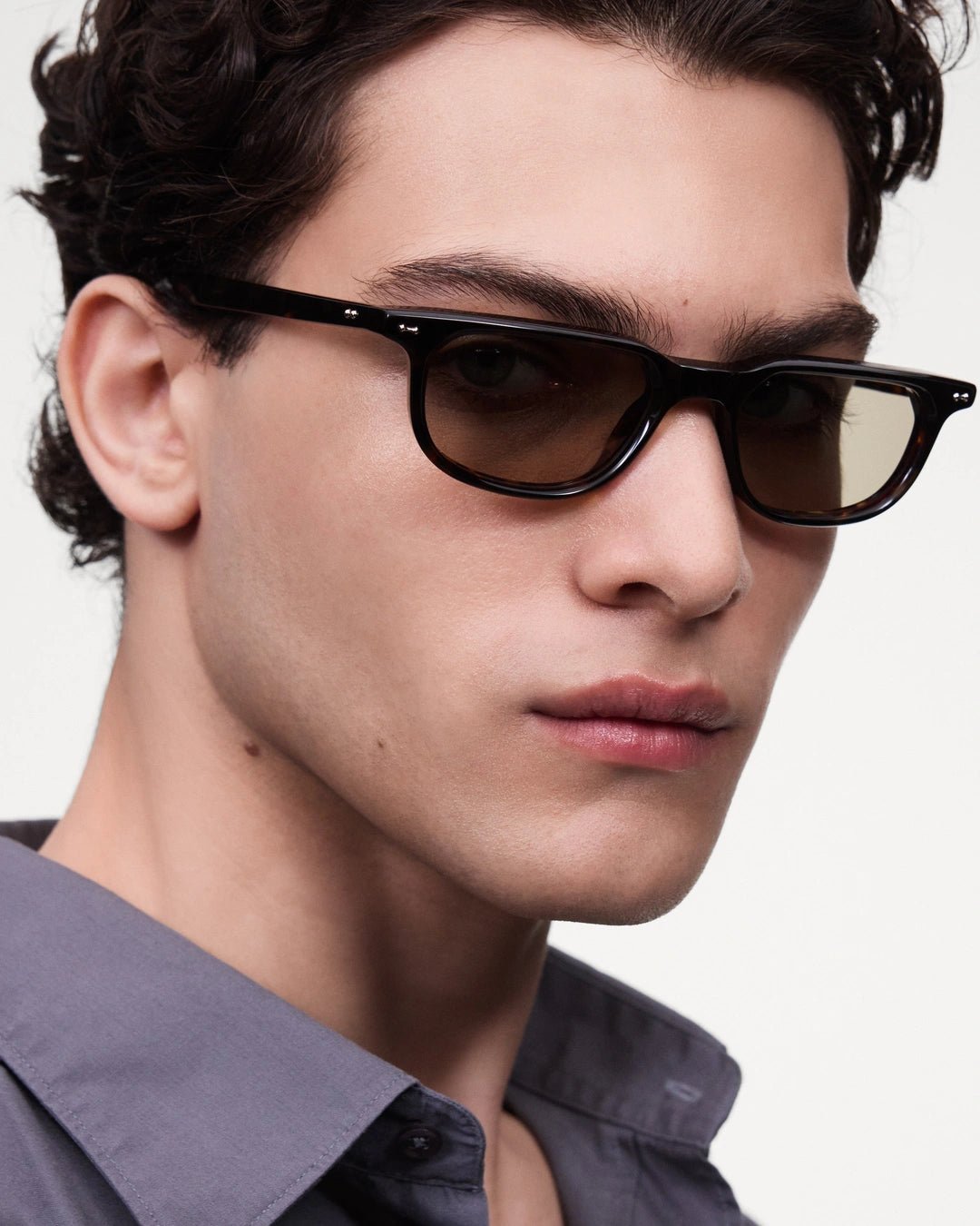 Novis / Tortoise & Green Lens - Shade Files