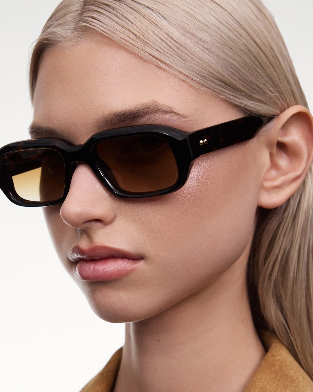 Perga / Tortoise & Tan Gradient Lens - Shade Files