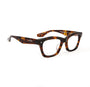 Room Service Optical / Tortoise & Blue - Light Lens - Shade Files