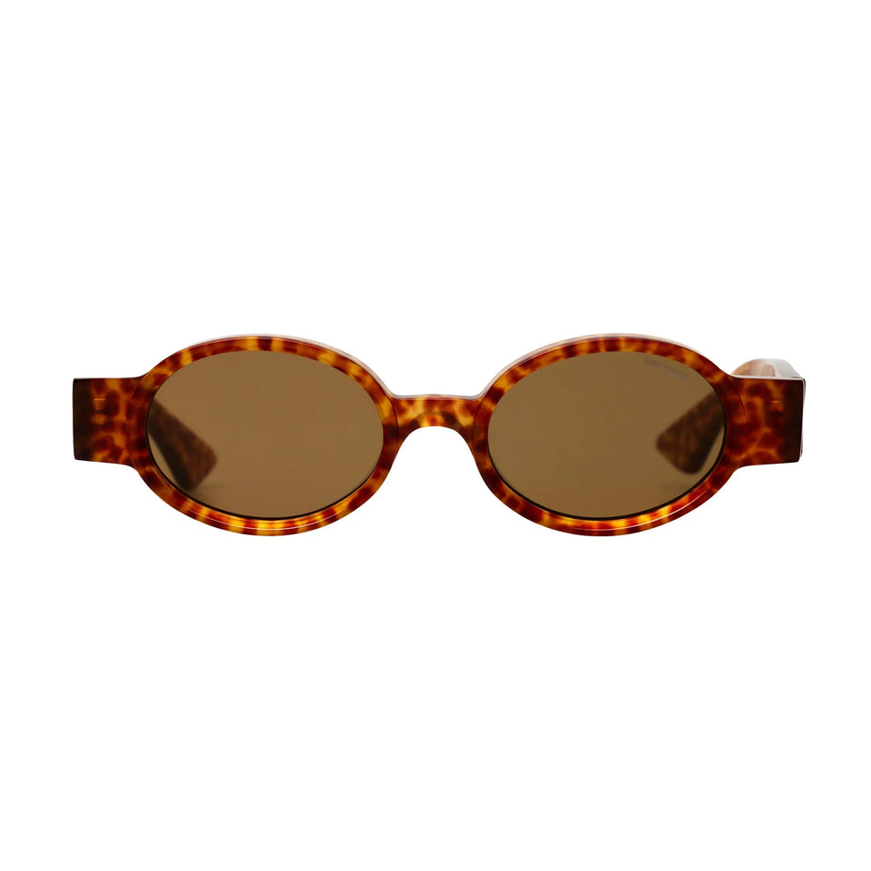 Sketti / Hyena & Brown Lens Sketti / Hyena & Brown Lens