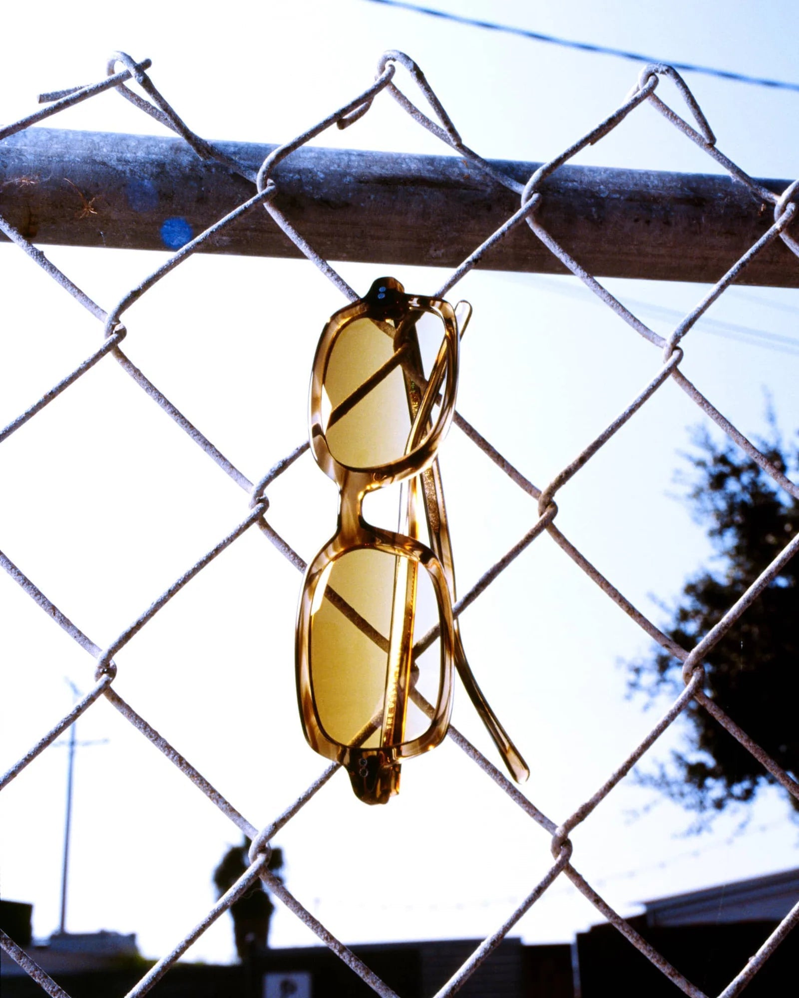 The Dream Cassette / Dune Bio & Kelp Gradient Lens - Shade Files