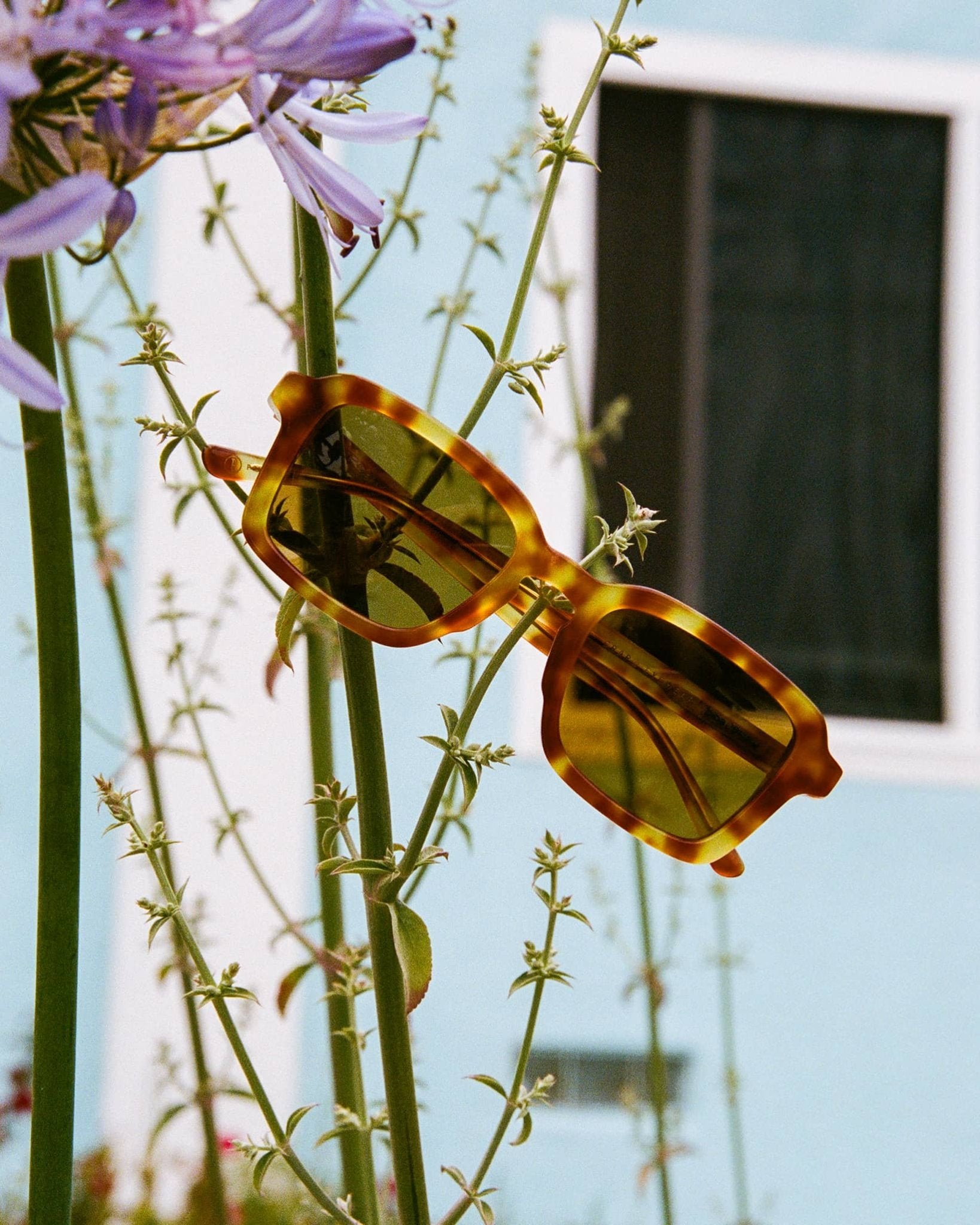 The Heavy Tropix / Blonde Tortoise Bio & Polarised Mustard Lens - Shade Files