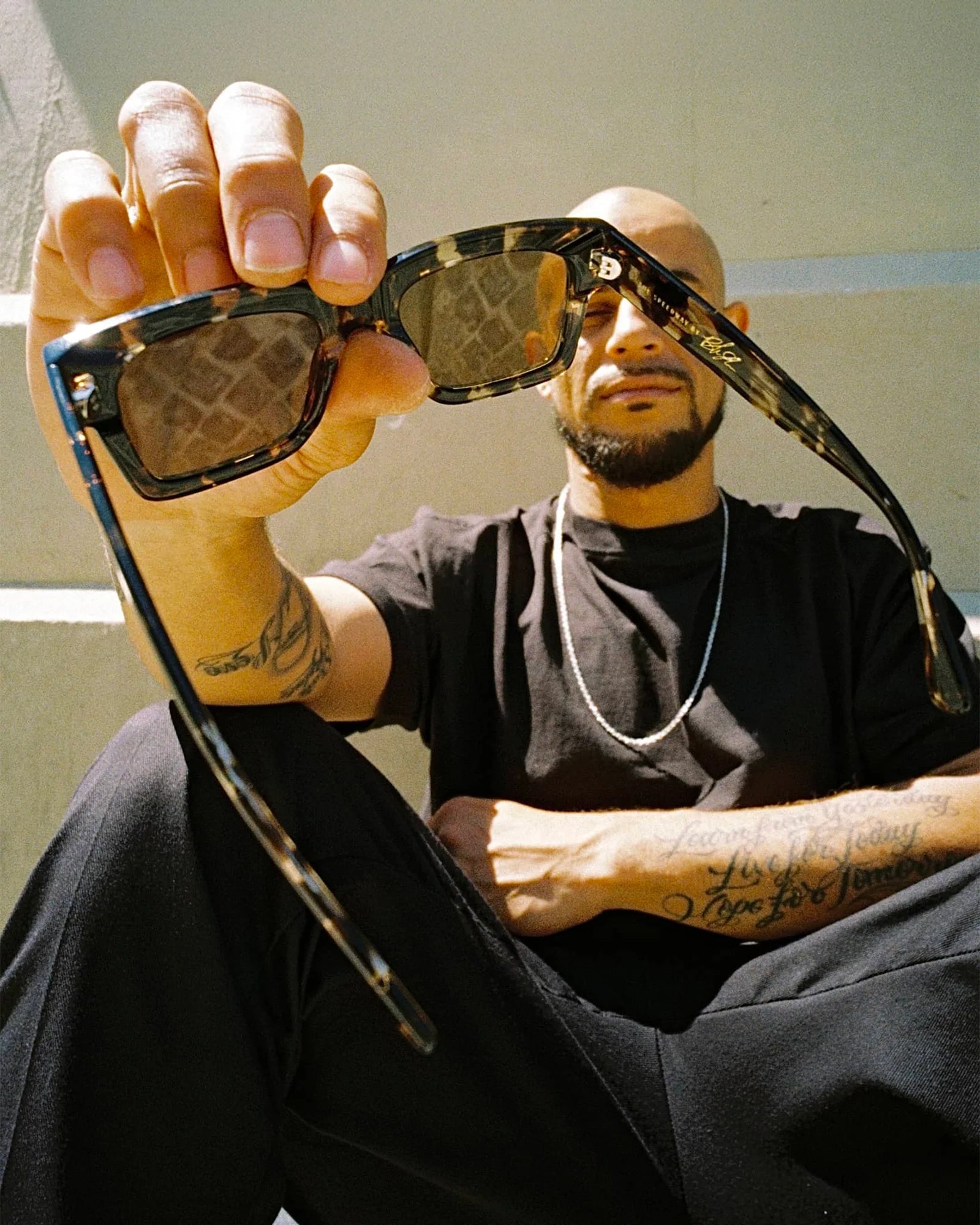 The Speedway / Desert Tortoise Bio & Polarised Bronze Lens - Shade Files