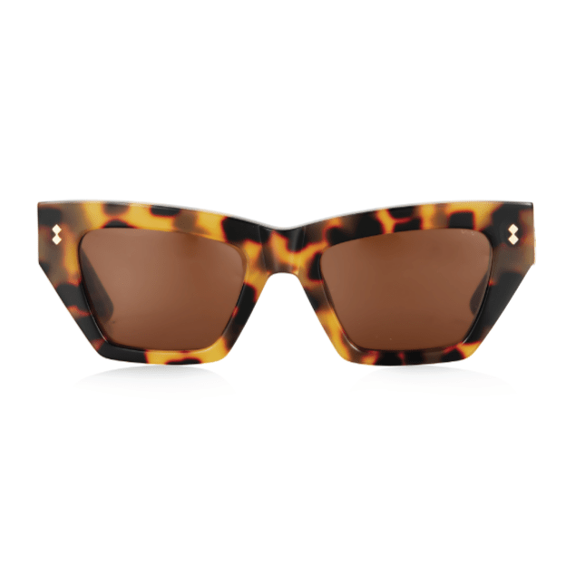 Wild & Free / Dark Tortoise Wild & Free / Dark Tortoise