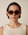 06 Core / Havana & Brown Lens - Shade Files