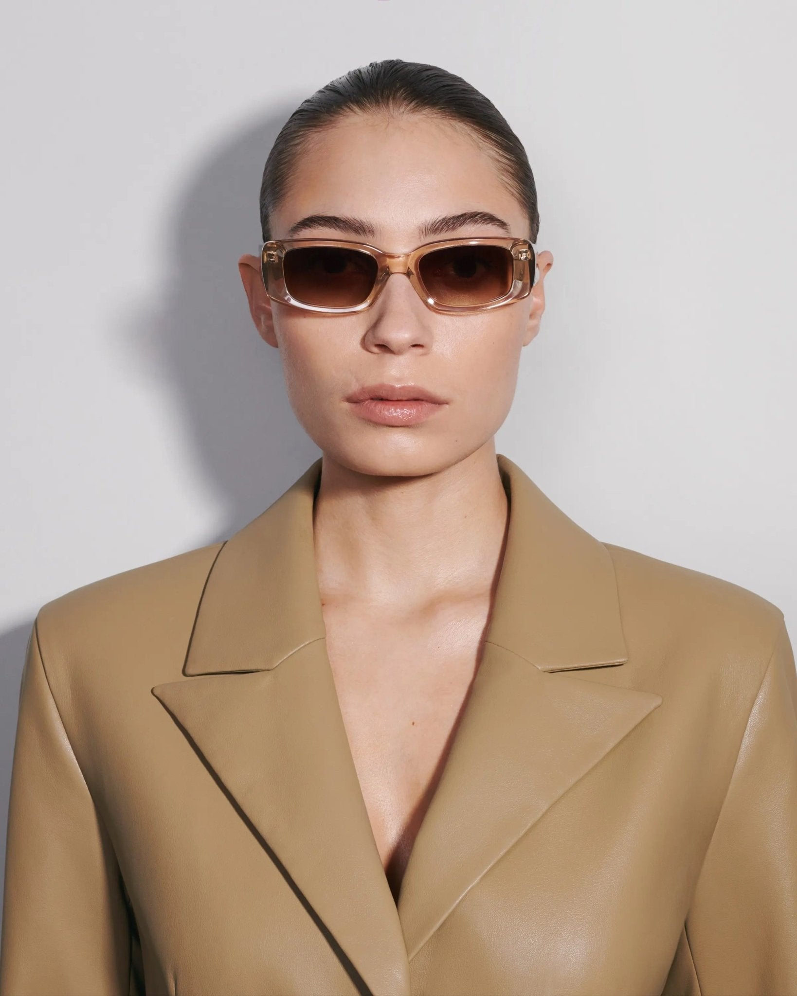 10.2 Core / Ecru & Brown Gradient Lens - Shade Files
