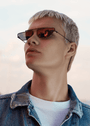 Alec / Silver Smoke & Grey Lens - Shade Files