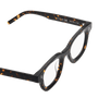 Apollo Optical / Tokyo Tortoise Acetate & Blue - Light Lens - Shade Files