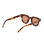 Apollo / Tortoise Acetate & Brown Lens - Shade Files