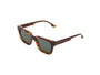 Bobby / Havana & Graphite Green Lens - Shade Files