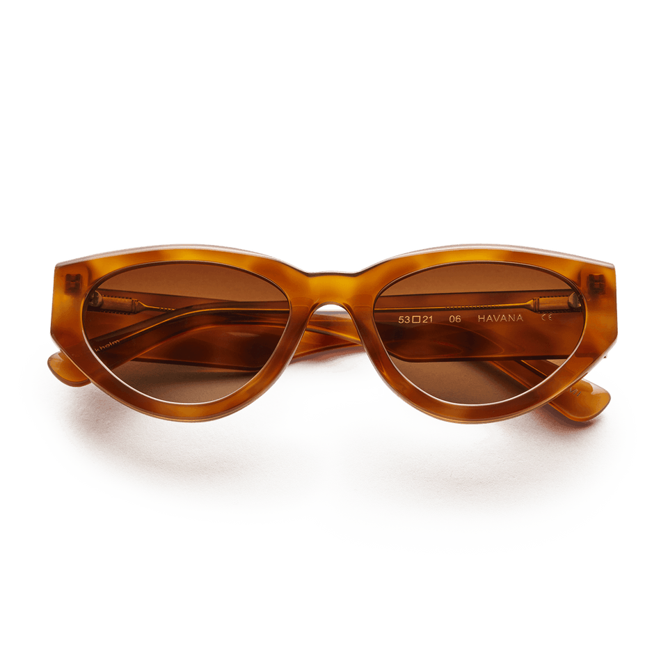 06 Core / Havana & Brown Lens 06 Core / Havana & Brown Lens