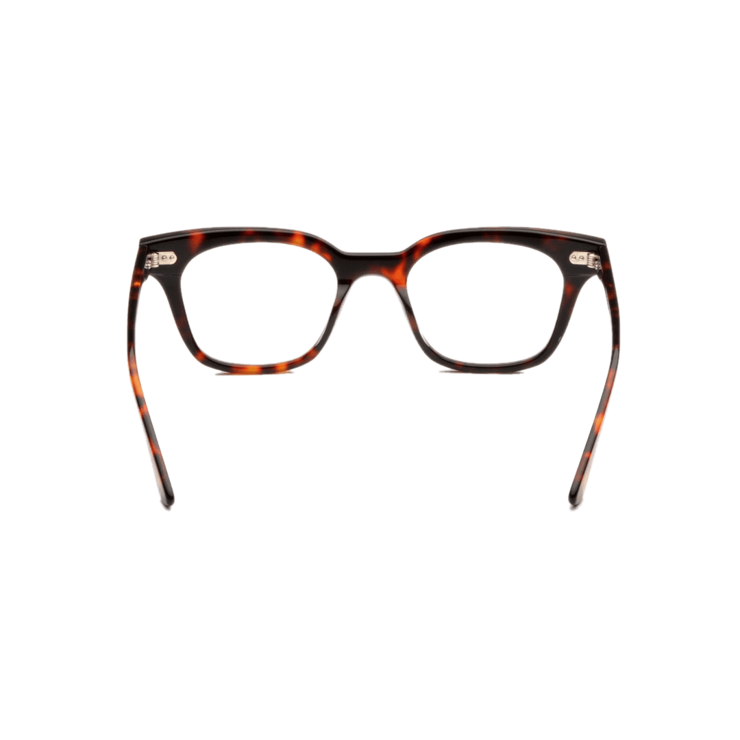 Hi - Fi 2.0 Optical / Tortoise Acetate & Blue - Light Lens - Shade Files