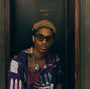 Legacy / Tortoise Acetate & Dark Brown Lens - Shade Files