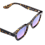 Logos / Tokyo Tortoise Acetate & Sunset Lens - Shade Files