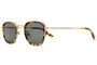 The Groove Pilot / Brushed Gold & Tokyo Tortoise Bio & Vintage Green Lens - Shade Files
