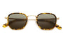 The Groove Pilot / Brushed Gold & Tokyo Tortoise Bio & Vintage Green Lens - Shade Files