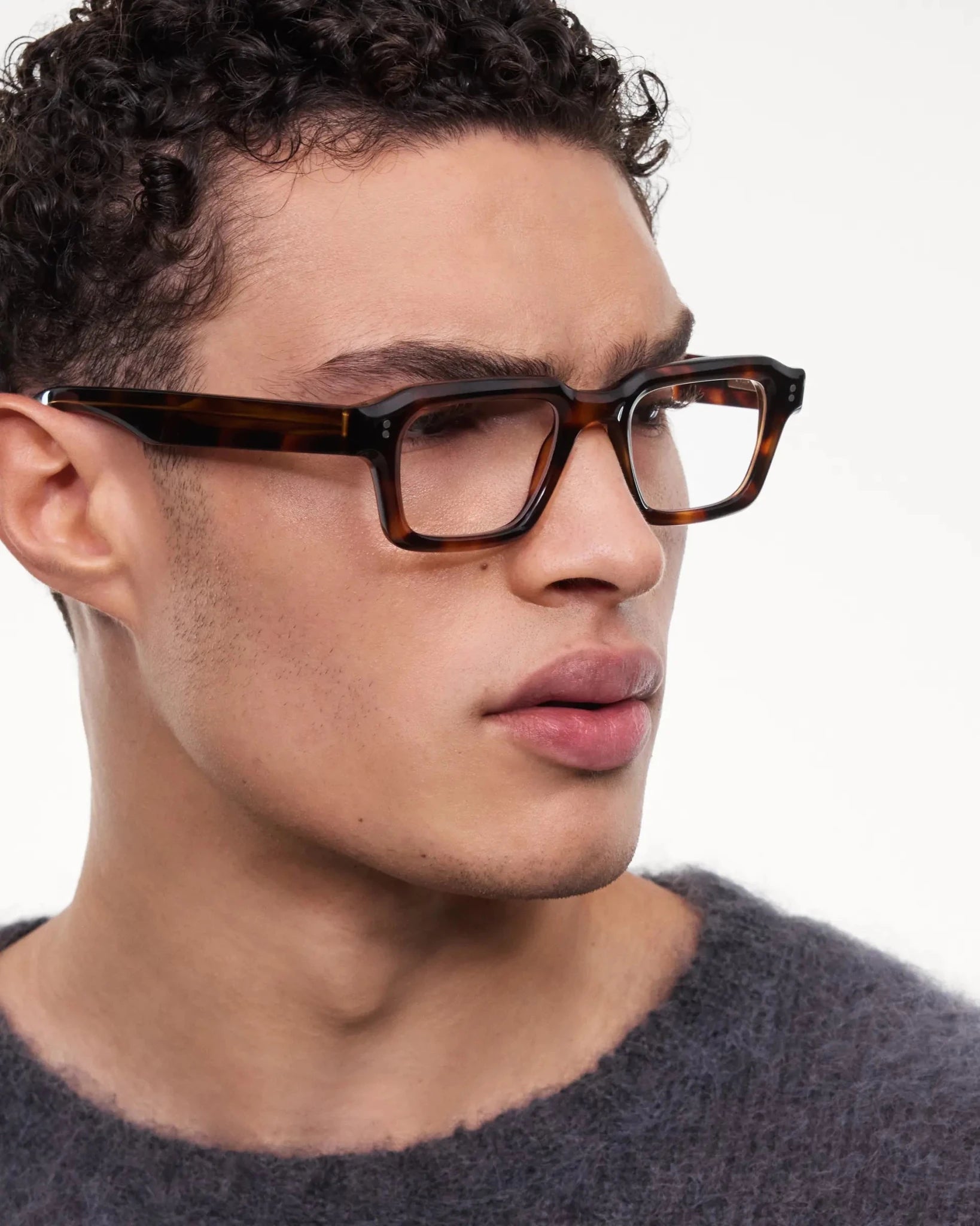 03 Core Optical / Tortoise & Clear Lens - Shade Files
