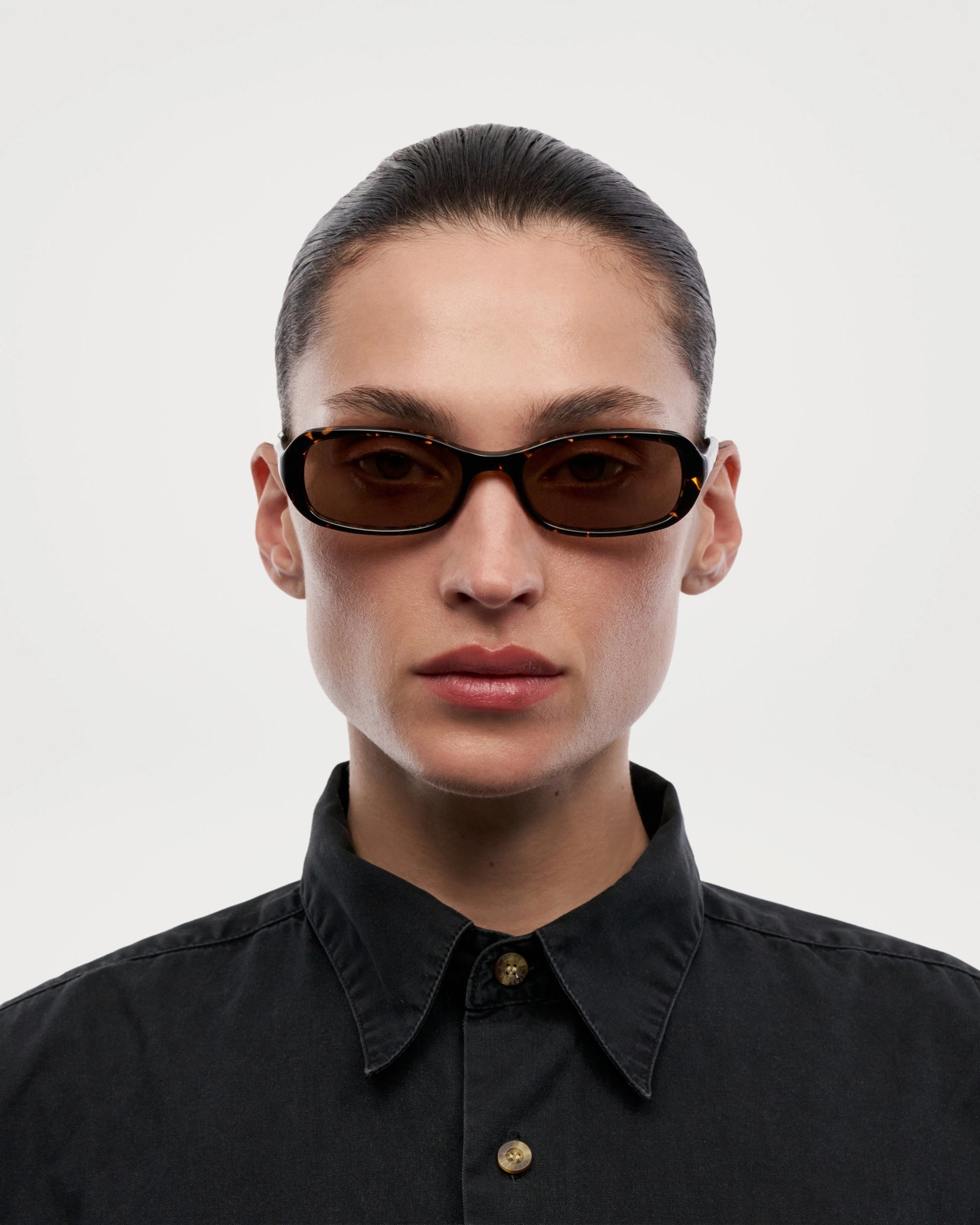 Code / Feral Tortoise & Brown Lens