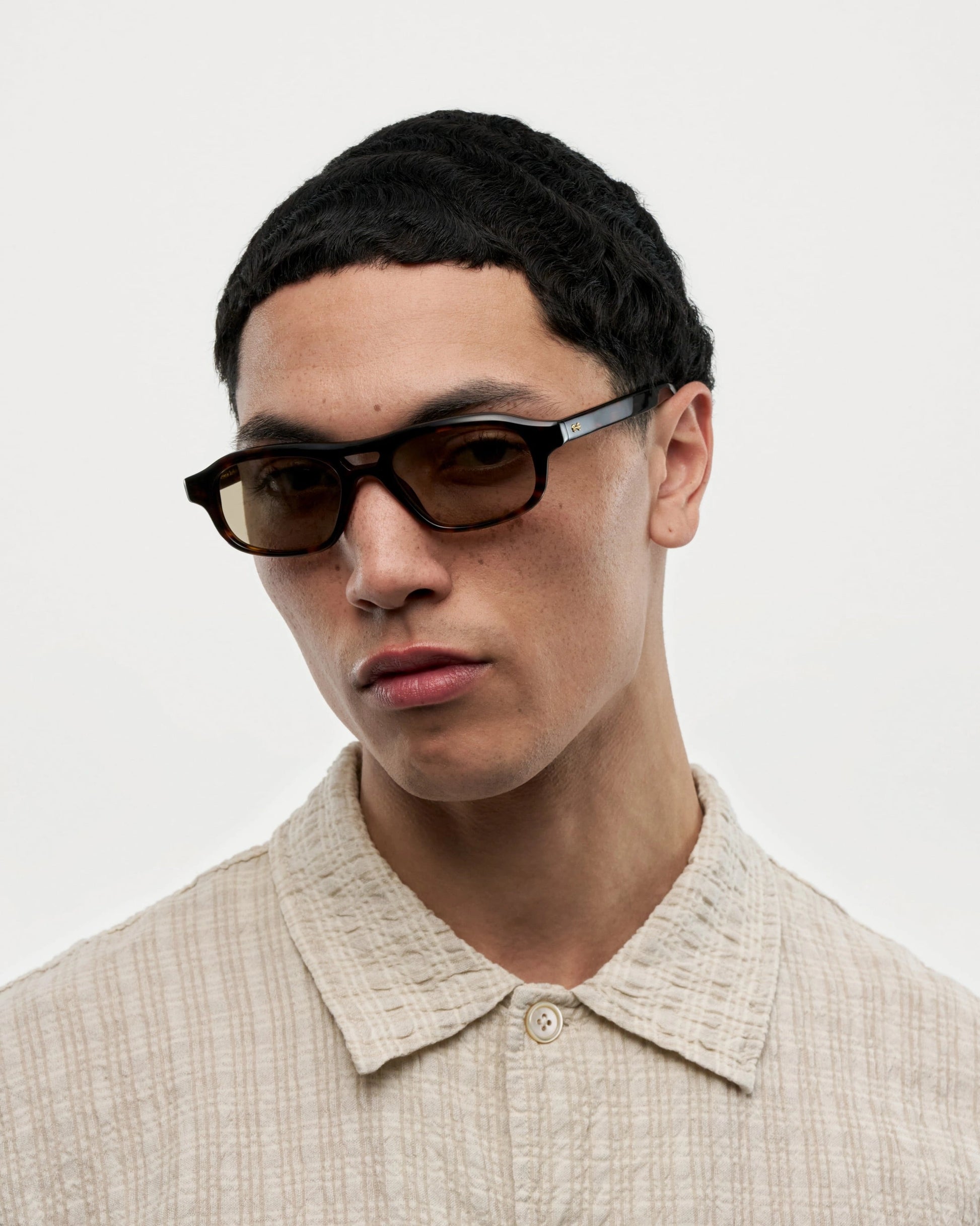 Eli / Terra Tortoise & Brown Lens