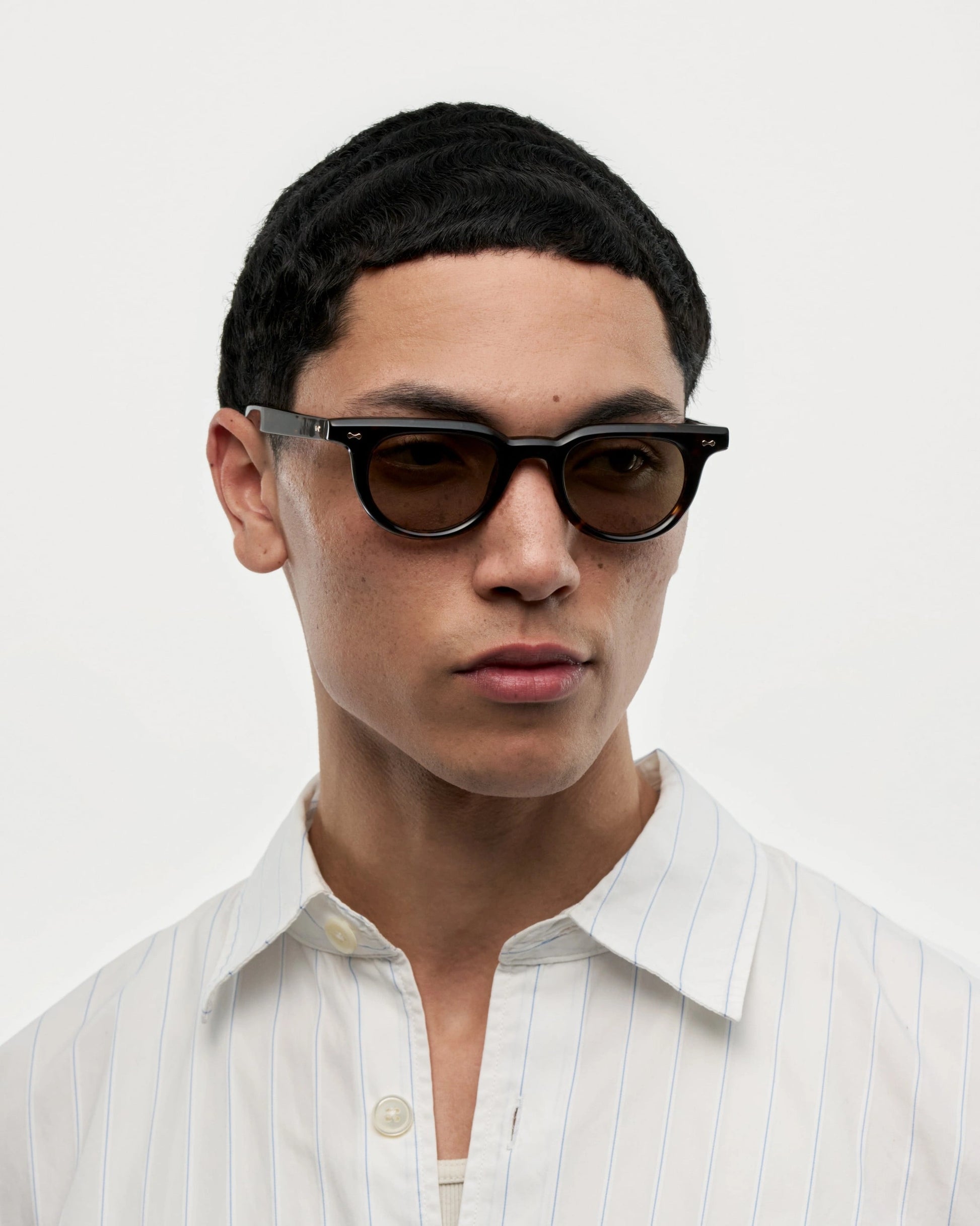 Ciro / Deep Tortoise & Brown Lens