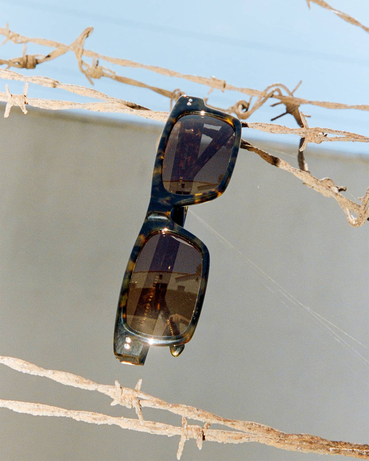 The Good Bad / Dark Tortoise Bio & Polarised Smoke Lens