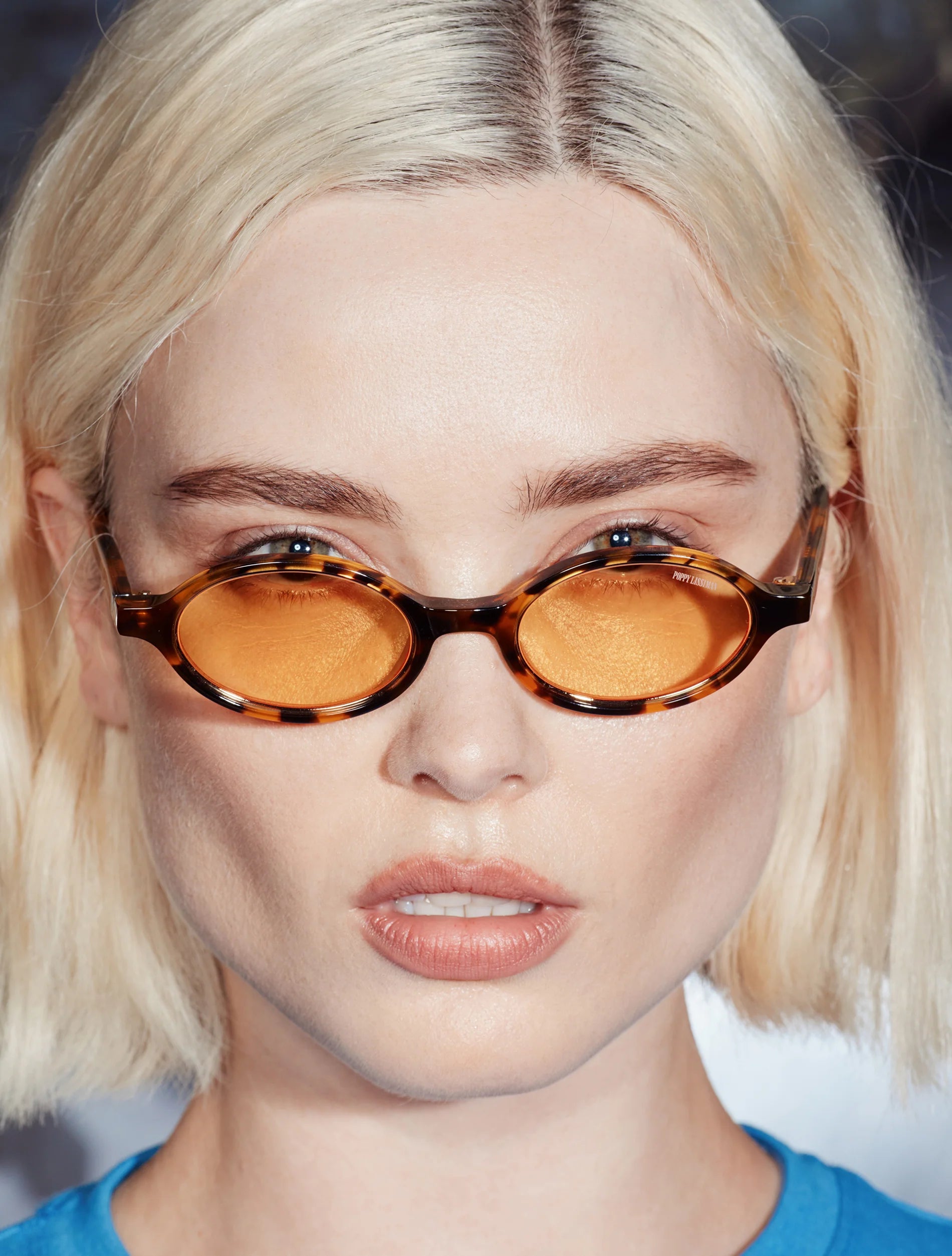 Bertie / Yellow Torti & Yellow Lens