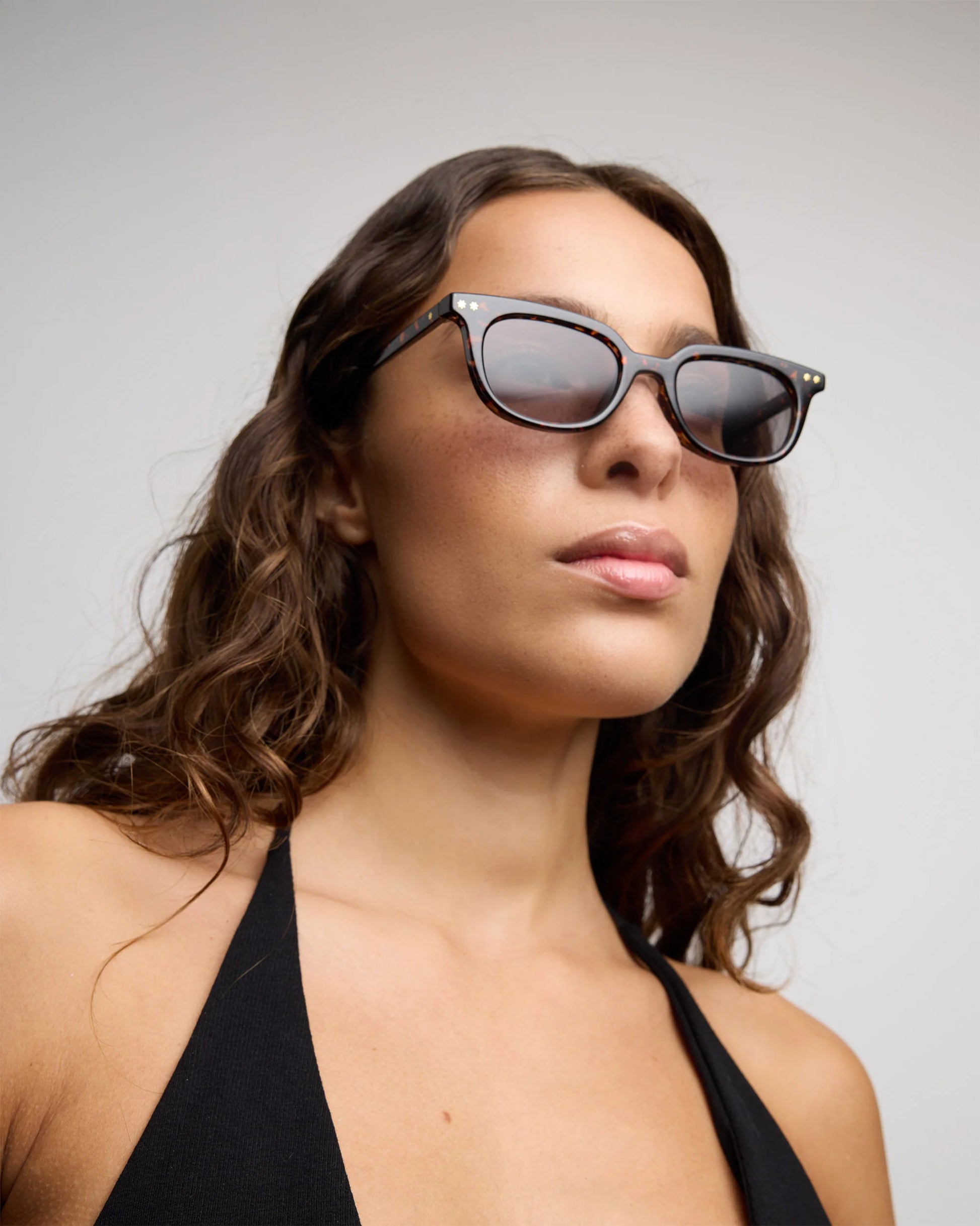Bates / Wasp & Dune Lens