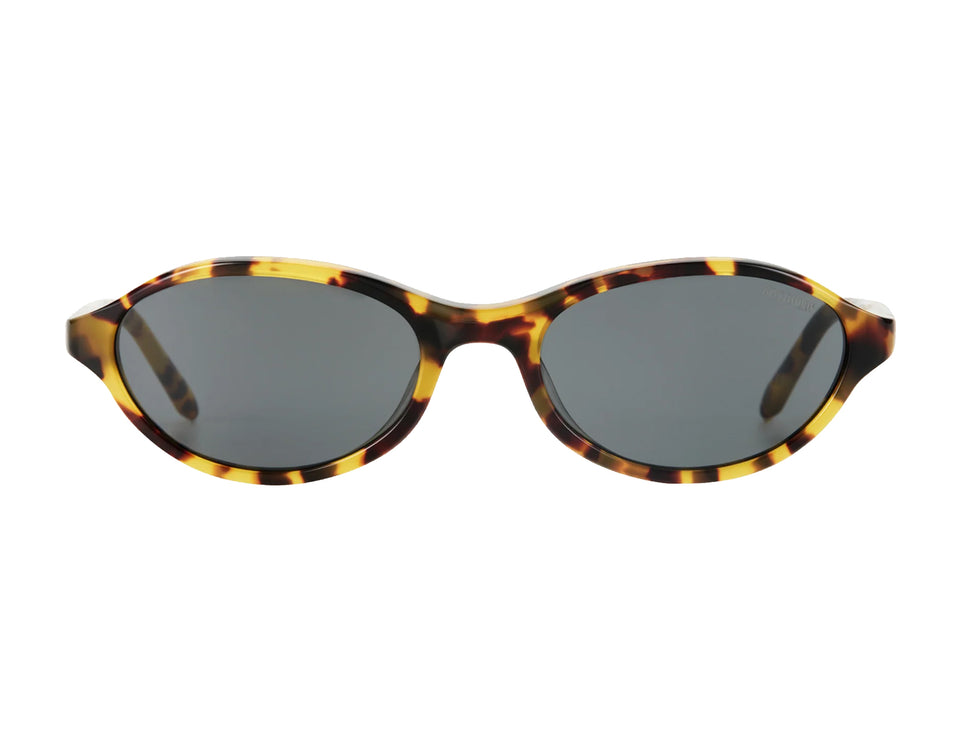 Slaydrian / Torti & Black Lens