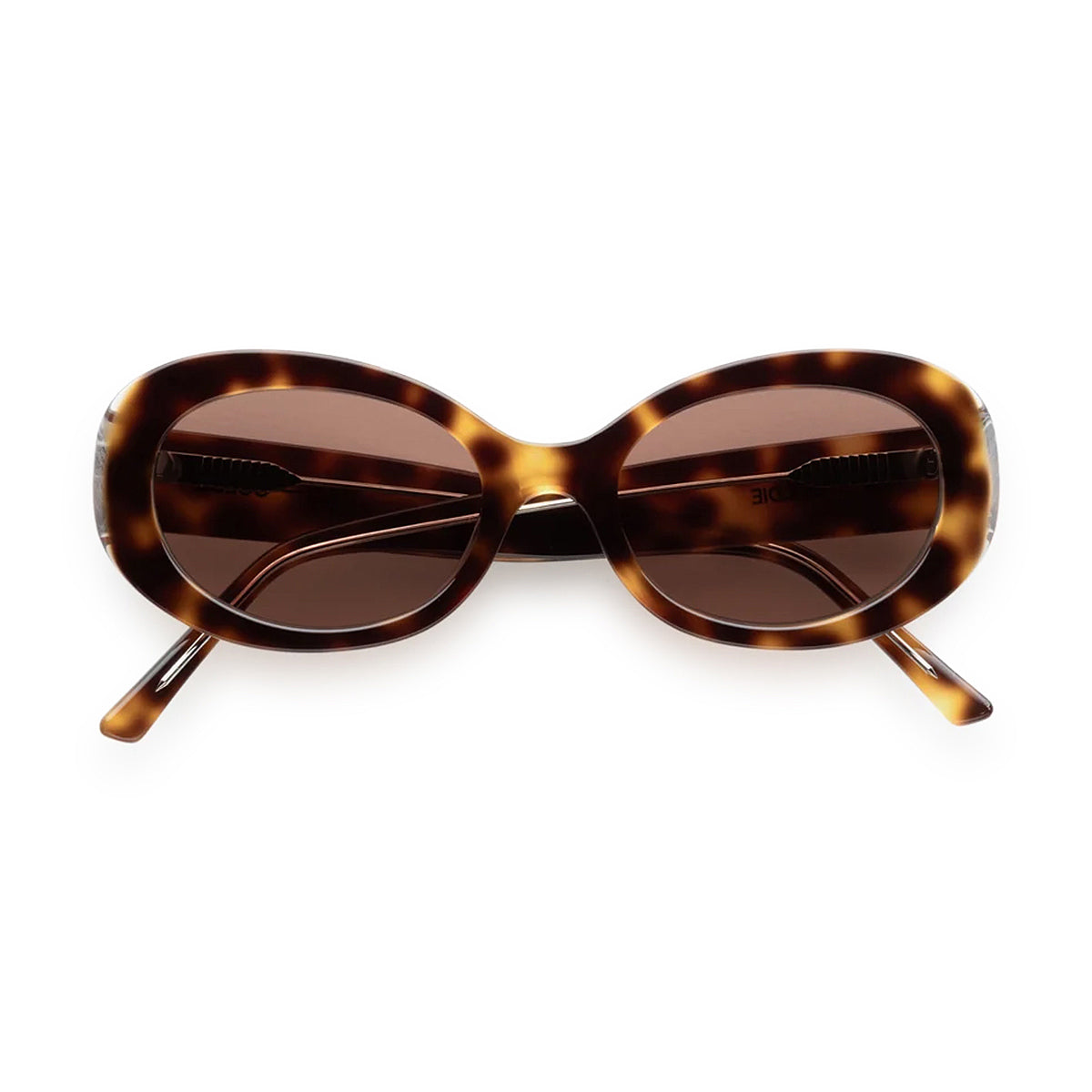 Valentina / Tort & Brown Lens