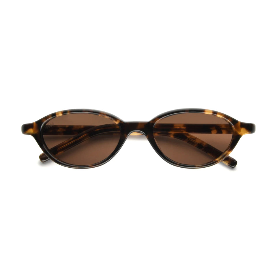 Alien / Tortoise Acetate & Brown Lens