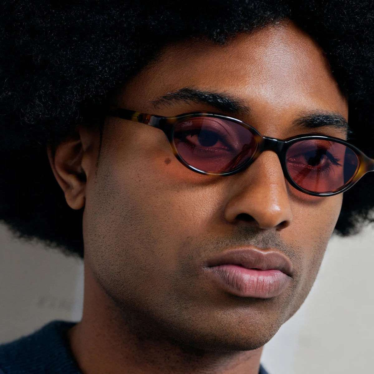 Alien / Tortoise Acetate & Rose Lens - Shade Files