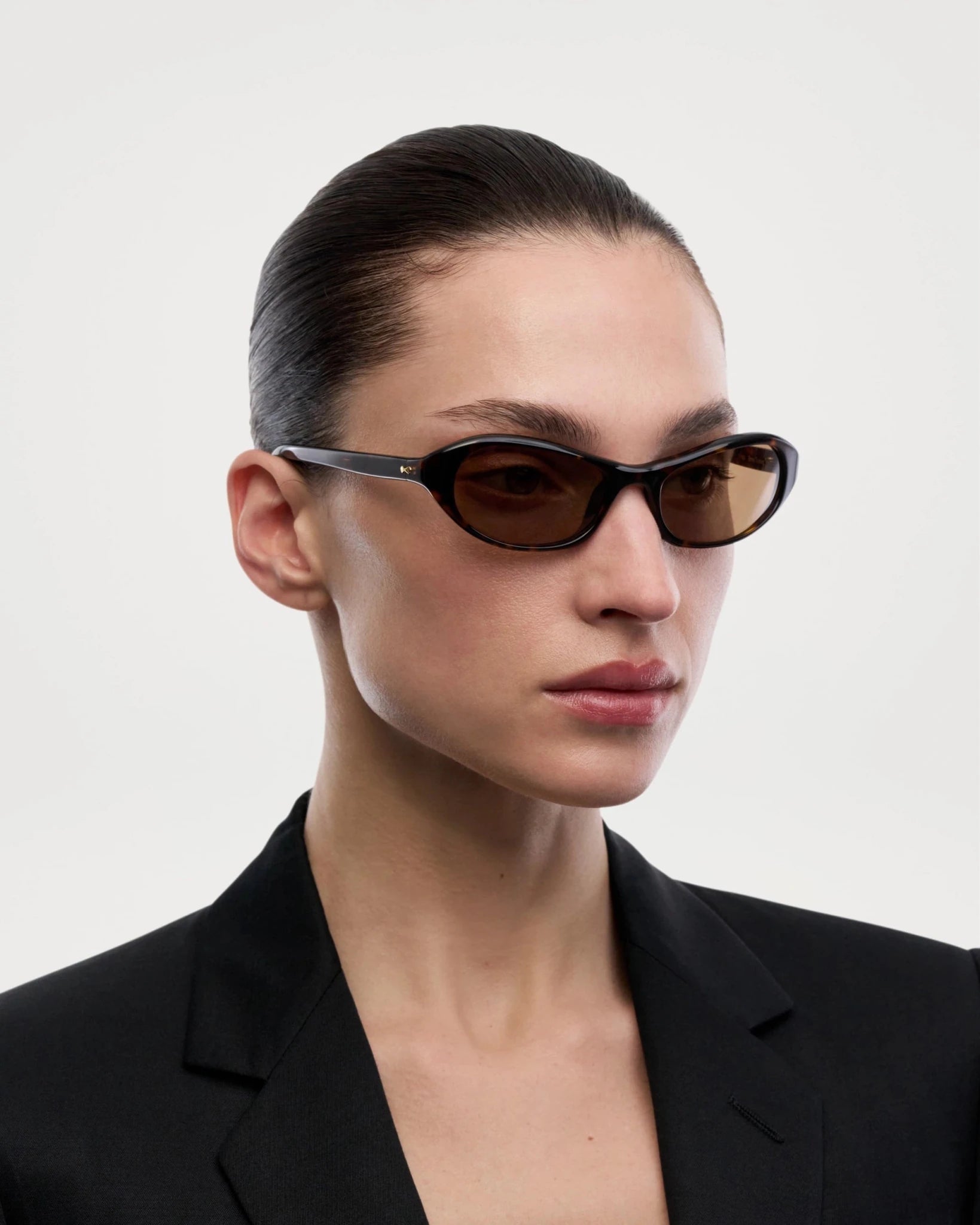 Aria / Terra Tortoise & Brown Lens - Shade Files