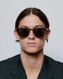 Bate / Black Yellow Tortoise & Grey Lens - Shade Files
