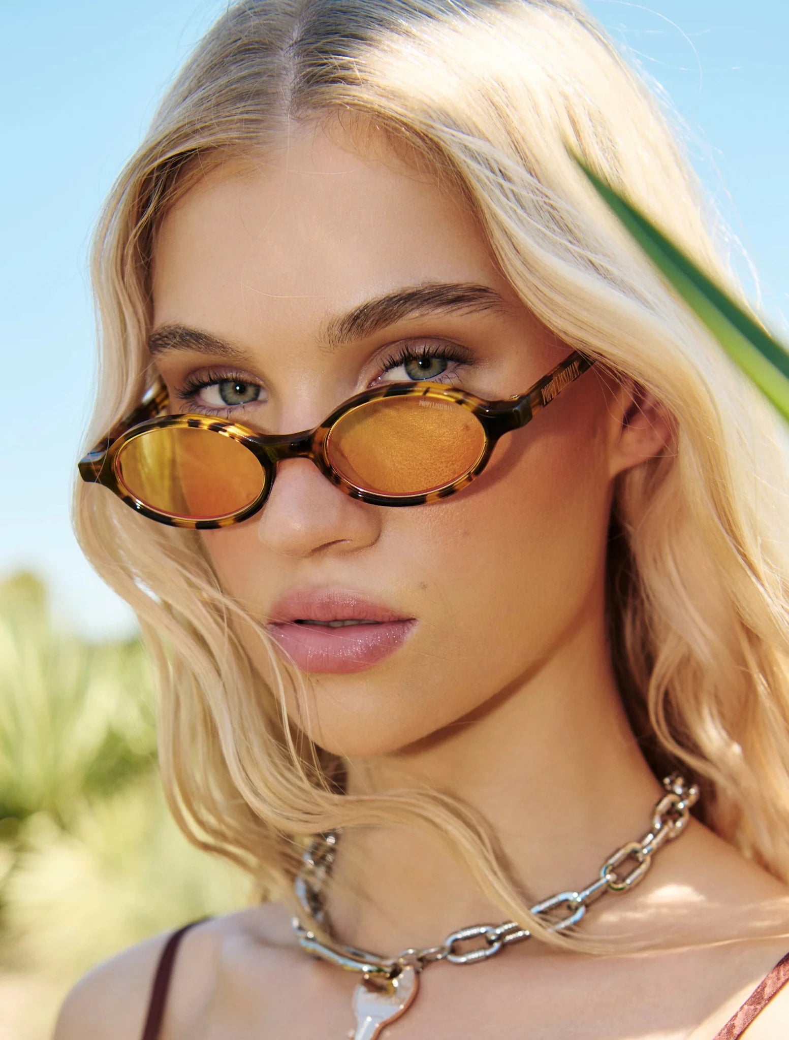 Bertie / Yellow Torti & Yellow Lens - Shade Files