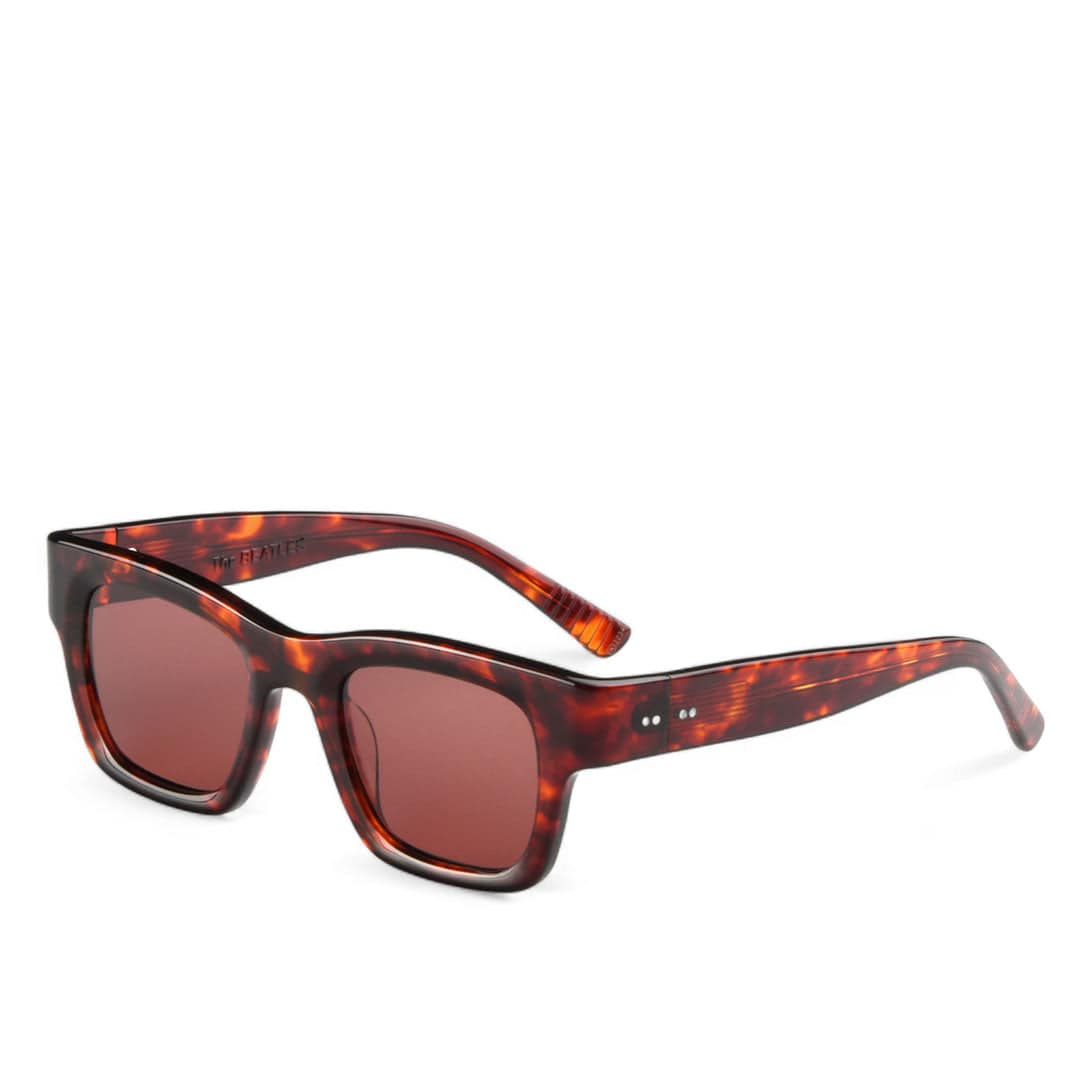 Blackbird x The Beatles / Tortoise Acetate & Brown Lens - Shade Files