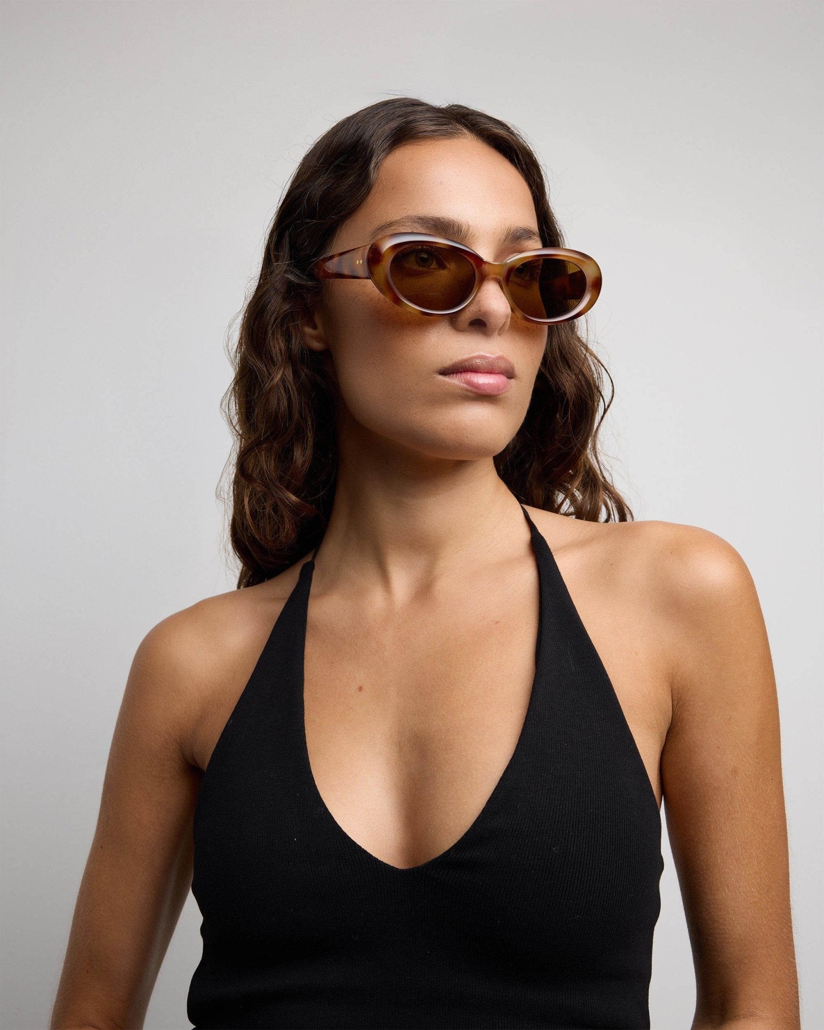 Blair / Maple Tortoise & Cacao Lens - Shade Files