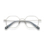 Carol Optical / Silver Metal & Prescription Lens - Shade Files