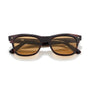 Hardy / Desert Tortoiseshell & Hazelnut Lens - Shade Files